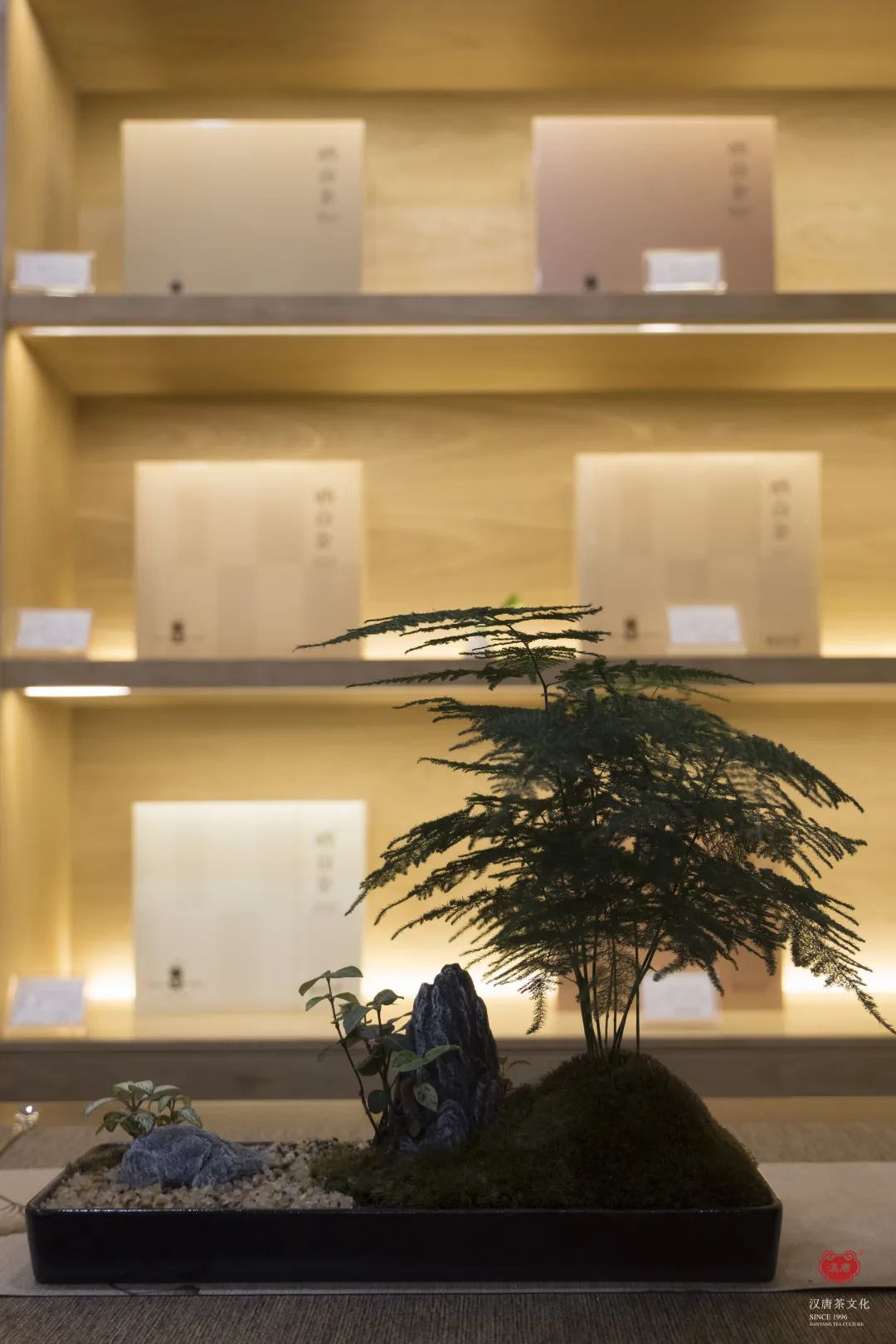 茶品牌體驗空間巡禮第四輯 | CBD里的摩登品品香插圖9